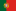Português